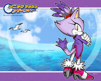 Blaze the cat