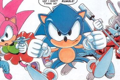 The Essential Guide to Sonic Characters: Friends and Foes