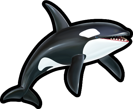 Orca | Sonic News Network | Fandom