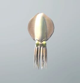 FP squid