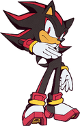 Shadow the Hedgehog