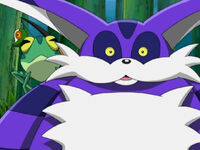 "Heads Up, Tails!"