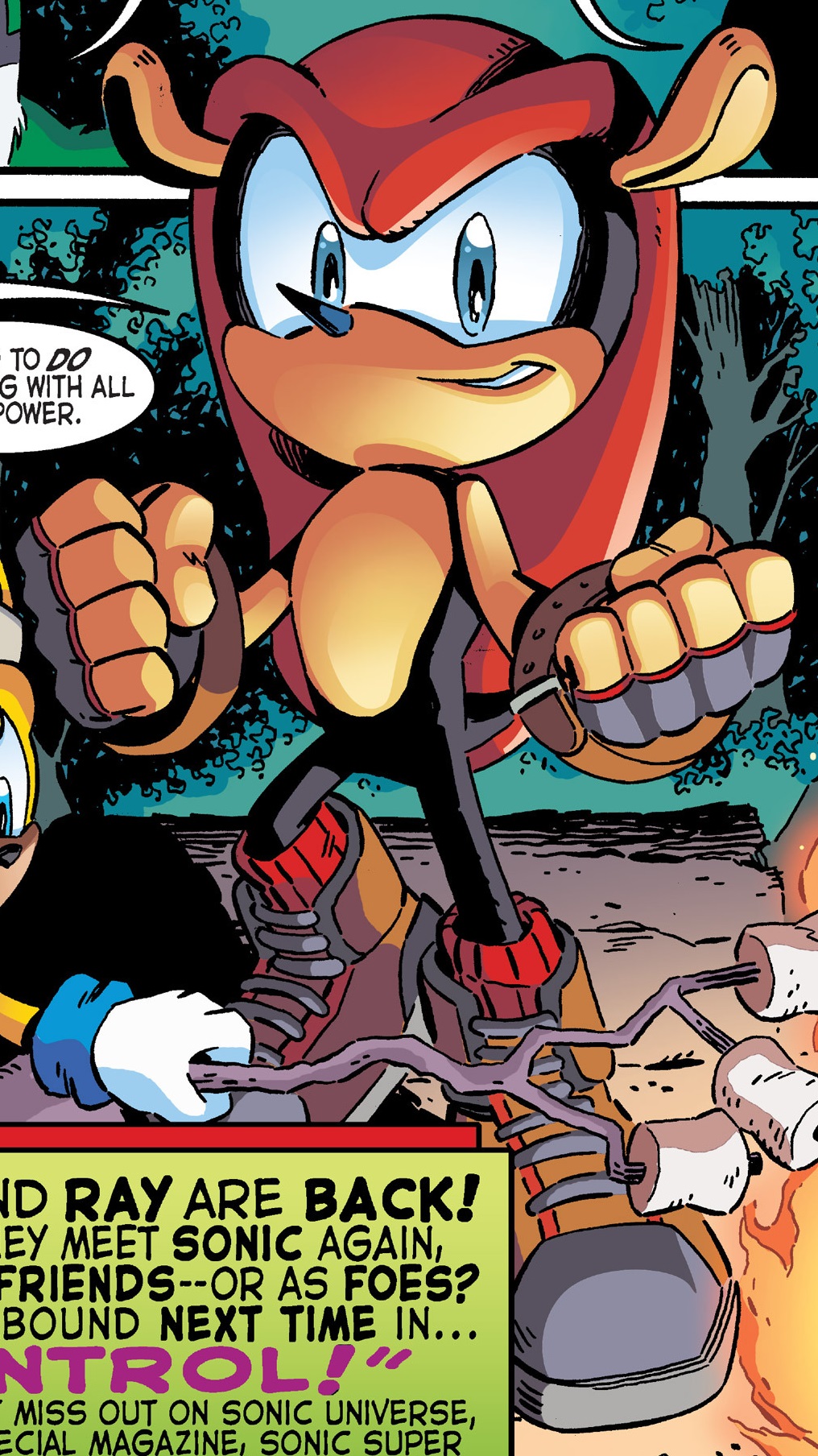 Mighty the Armadillo (Chaotix  Sonic) (Comic Book Character)