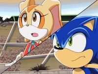 Sonic X A Wild Win Sonic and Cream