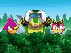 Chaotix (Sonic X), Sonic Wiki Zone