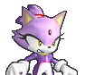 Blaze the Cat