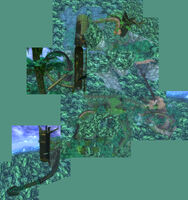 Tropical Jungle