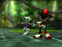 Shadow and Rouge after defeating Black Bull