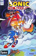 Sonic the Hedgehog #1 (April 2018). Art by Jonathan Gray. Coloring by Matt Herms.