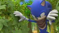 SB S1E09 Sonic looking