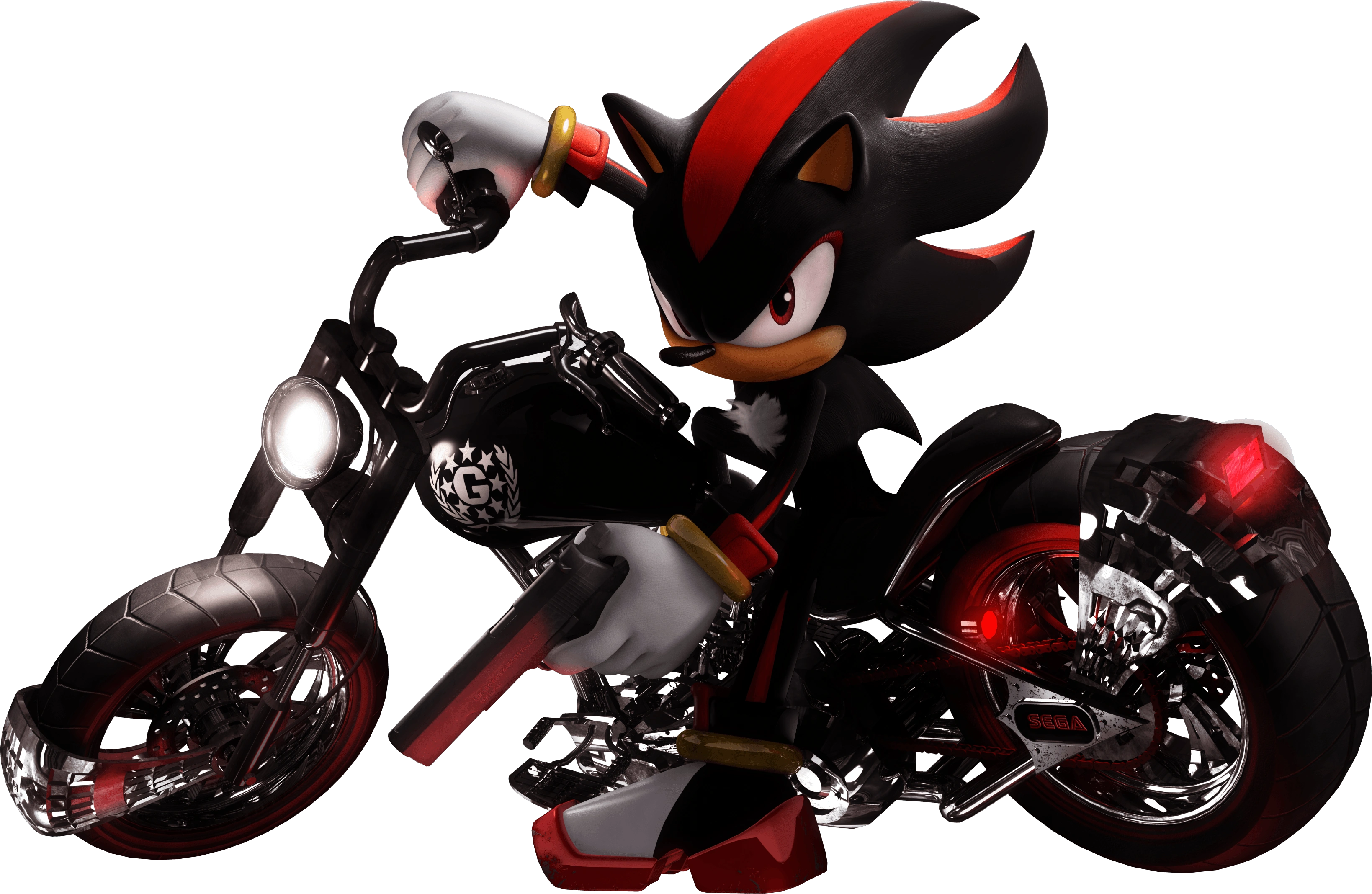 shadow the hedgehog on a motorcycle