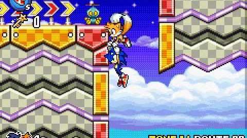 Sonic Advance 3/Glitches