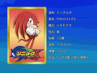 89 Knuckles the Echidna