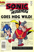 Sonic the Hedgehog #27 (October 1995). Art by Ken Penders and Jon D'Agostino.