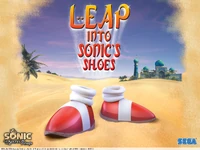 SecretRingsShoes.jpg (303 KB)