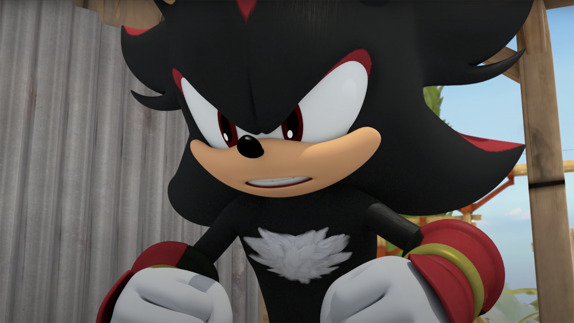 Shadow the Hedgehog (Sonic Boom), Sonic Wiki Zone