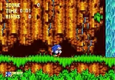 Blue Knuckles in Angel Island.