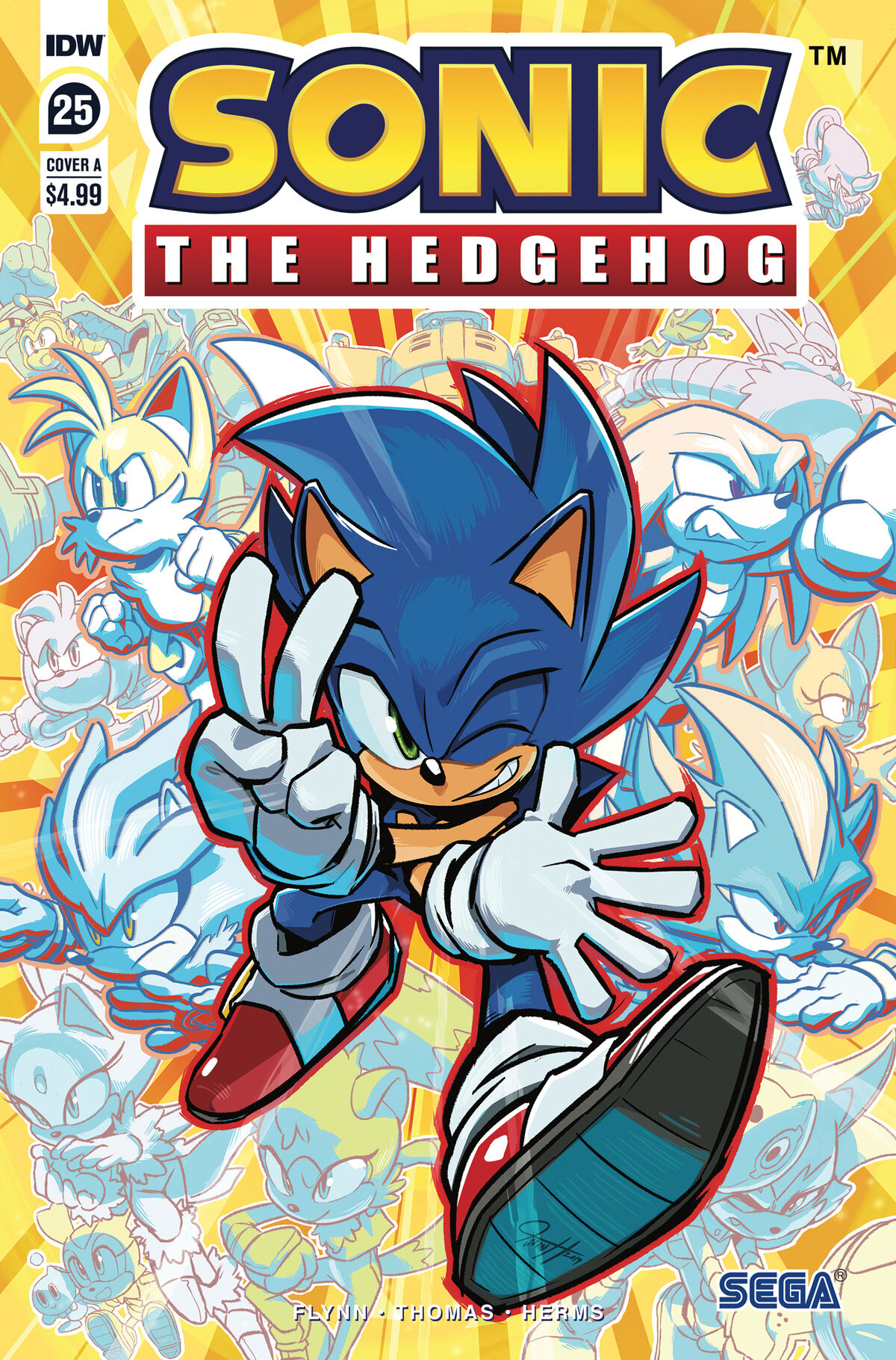 Sonic the Hedgehog's 900th Adventure CVR D Thomas: Ian Flynn: :  Books