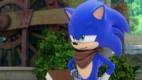 SB S1E24 Sonic sneer