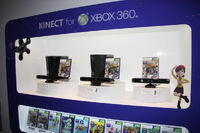 TGS 2010 Kinect Display