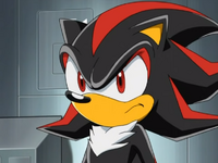 ShadowTheBeautyHedgehog