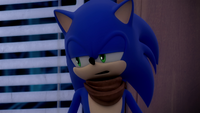 SB S1E02 Sonic annoyed