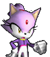 Blaze the Cat