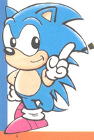 Sonic the Hedgehog Official Guidebook