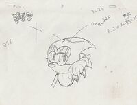 Sonicpage15