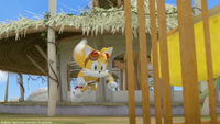 Tails flying