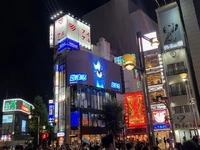 Shadow the Hedgehog LED display