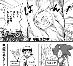 Sonic finds a tree pattern with his face.