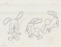 Character sheet for Pocky from Sonic the Hedgehog Material Collection.