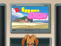 Tn 072eggmanshow