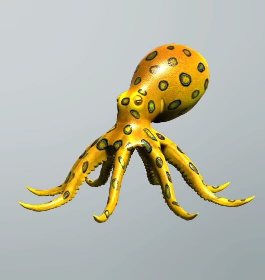 Greater blue-ringed octopus - Facts, Diet, Habitat & Pictures on  Animalia.bio