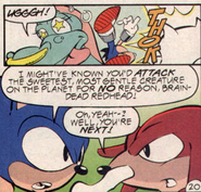 Ducly being punched by Knuckles.