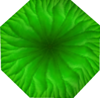 Top of green glowing mushroom