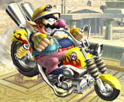 Wario 070629a-l