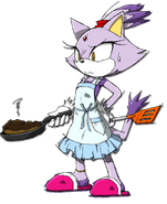 Blaze the Cat