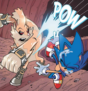 IDW15 Tumble vs Sonic