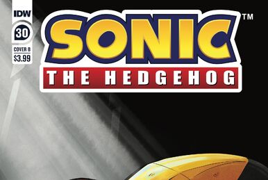 Sonic Riders: Zero Gravity – Wikipédia, a enciclopédia livre