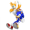 S4EII AvatarUS SonicTails