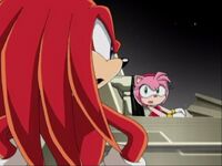 SX67 Knuckles and Amy