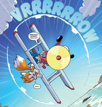 Sonic flying the Tornado with Tails onboard, from .