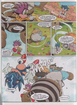 Sonic #122, Wiki