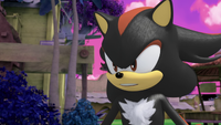 Shadow in the Alternate Universe