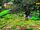 Sonic Adventure 2 (PS3) White Jungle Mission 1 A Rank