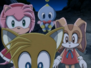 Tails, Cream, Amy, Cheese