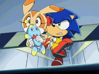 "Sonic to the Rescue"