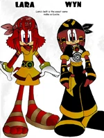 Colored version of the previous image, with additional labeling.